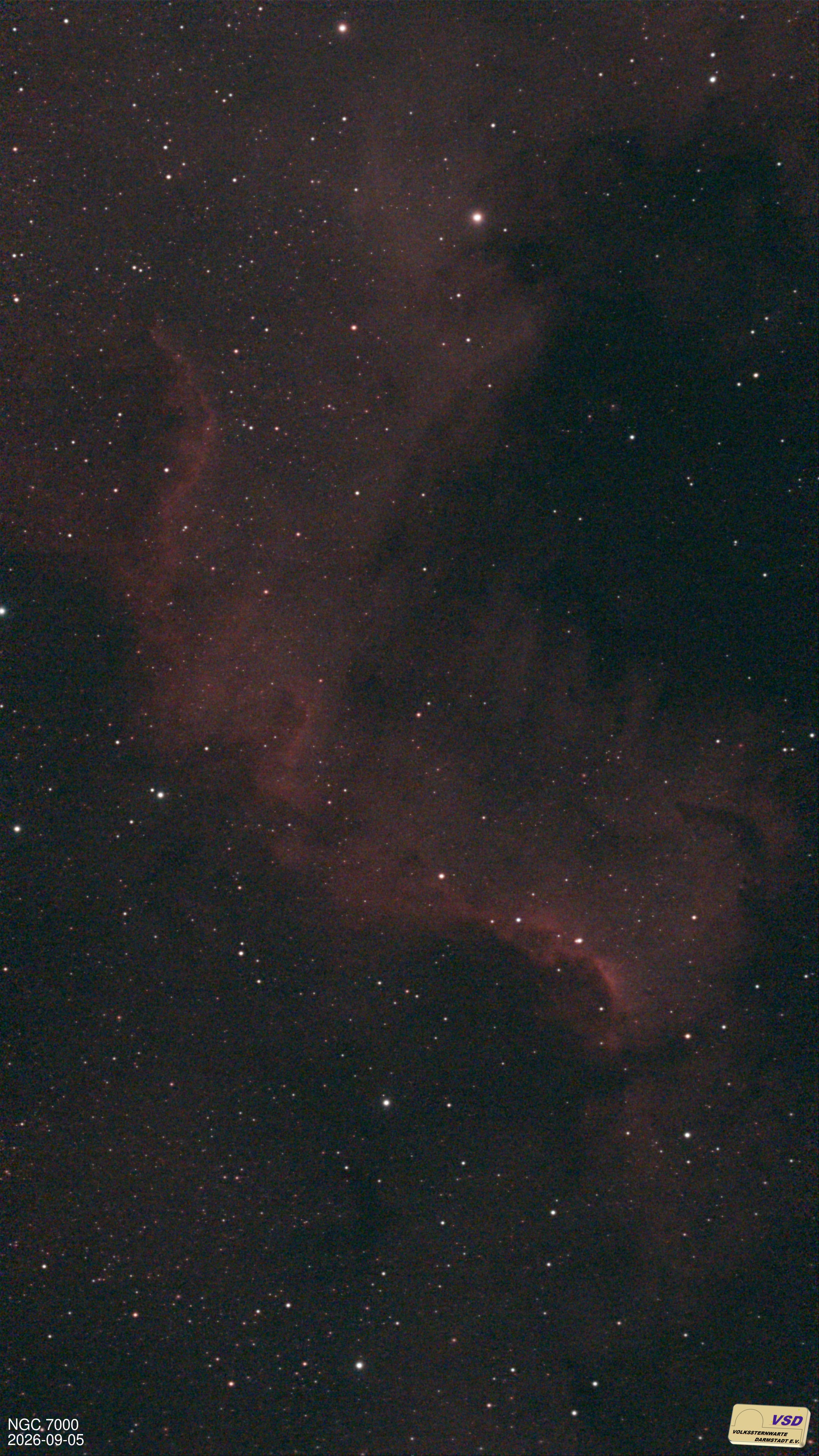 Stacked_30_NGC 7000_20.0s_LP_20260905-215047.jpg