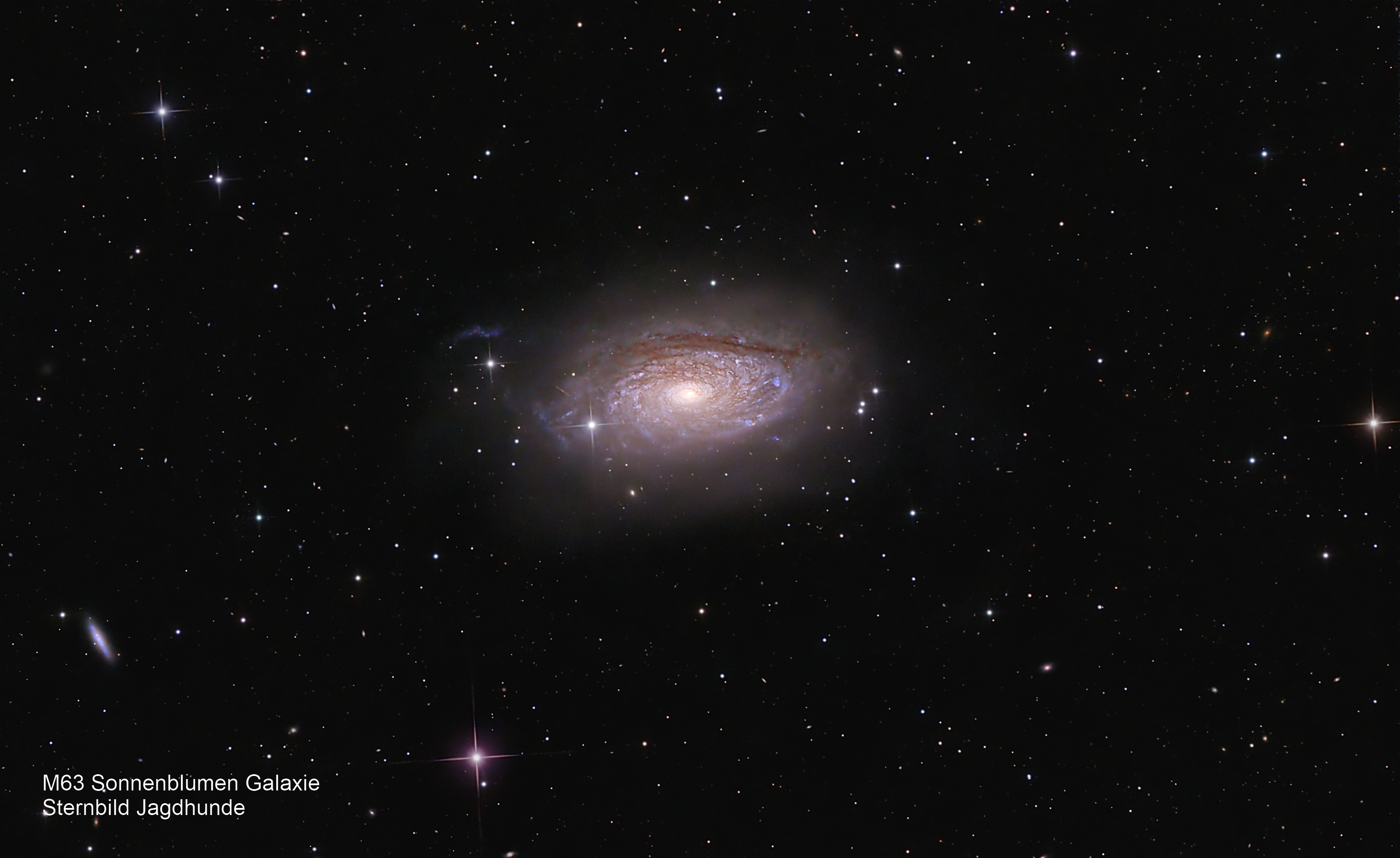 M63 Sonnenblumengalaxie