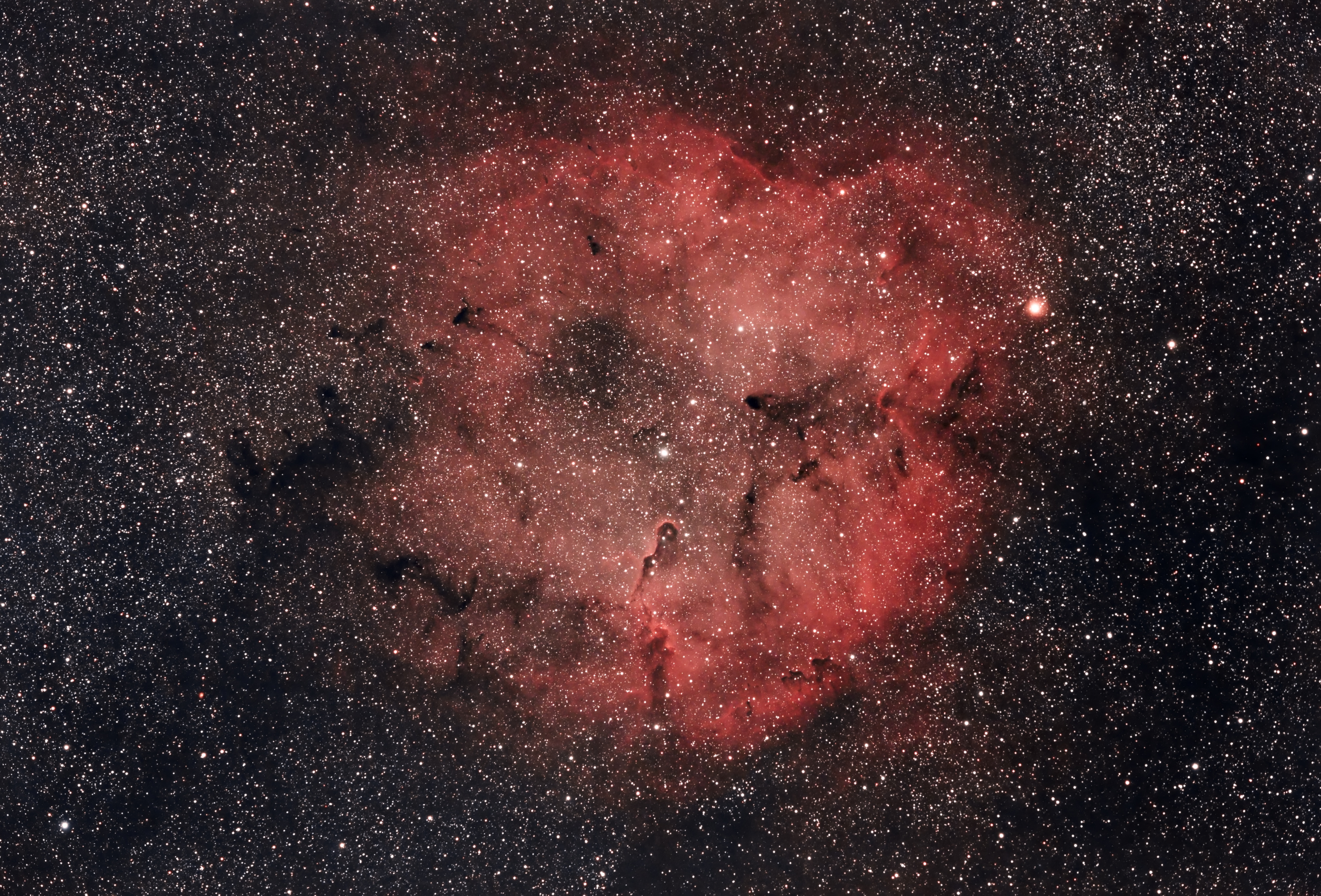 IC 1396 (SH2-131)