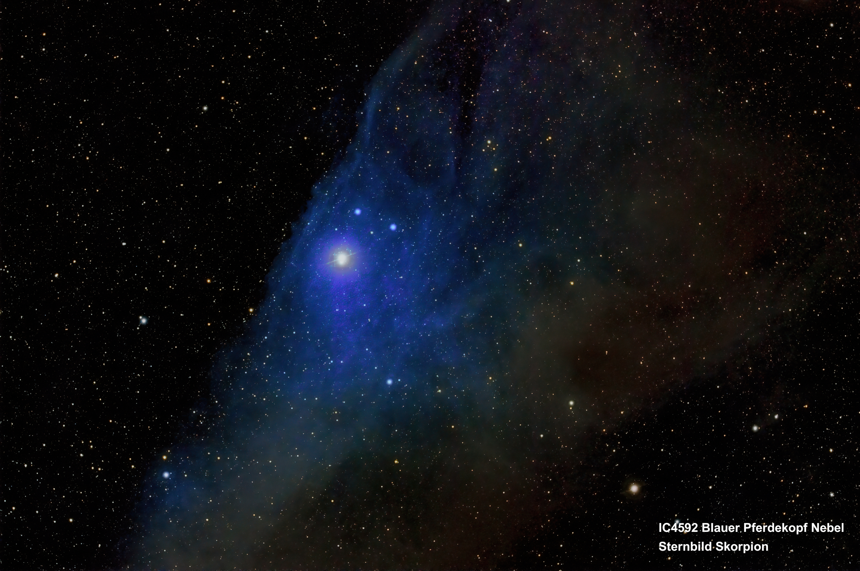 IC4592 Blauer Pferdekopf Nebel