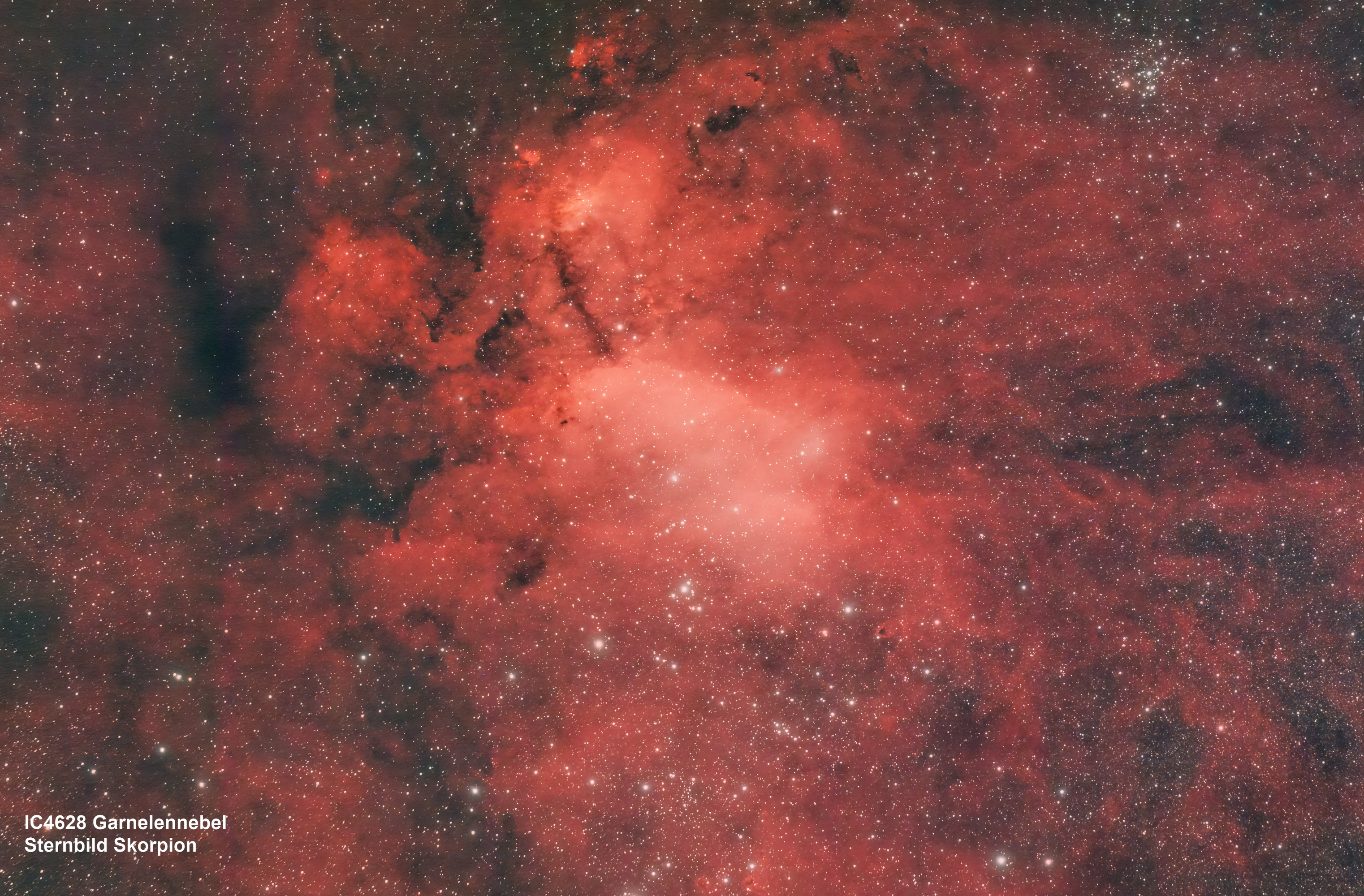 IC4628 Garnelennebel
