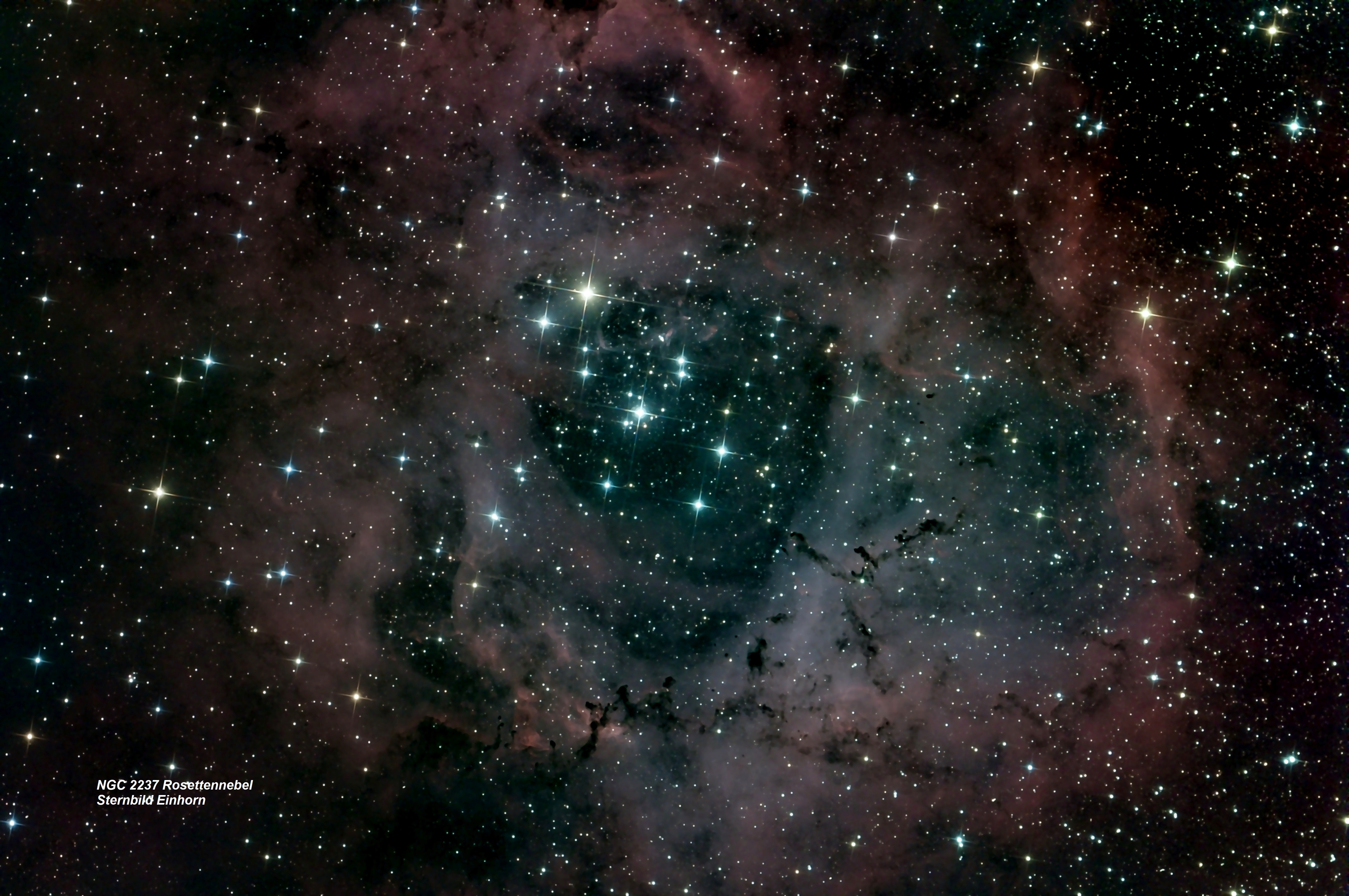 NGC 2239 Rosettennebel