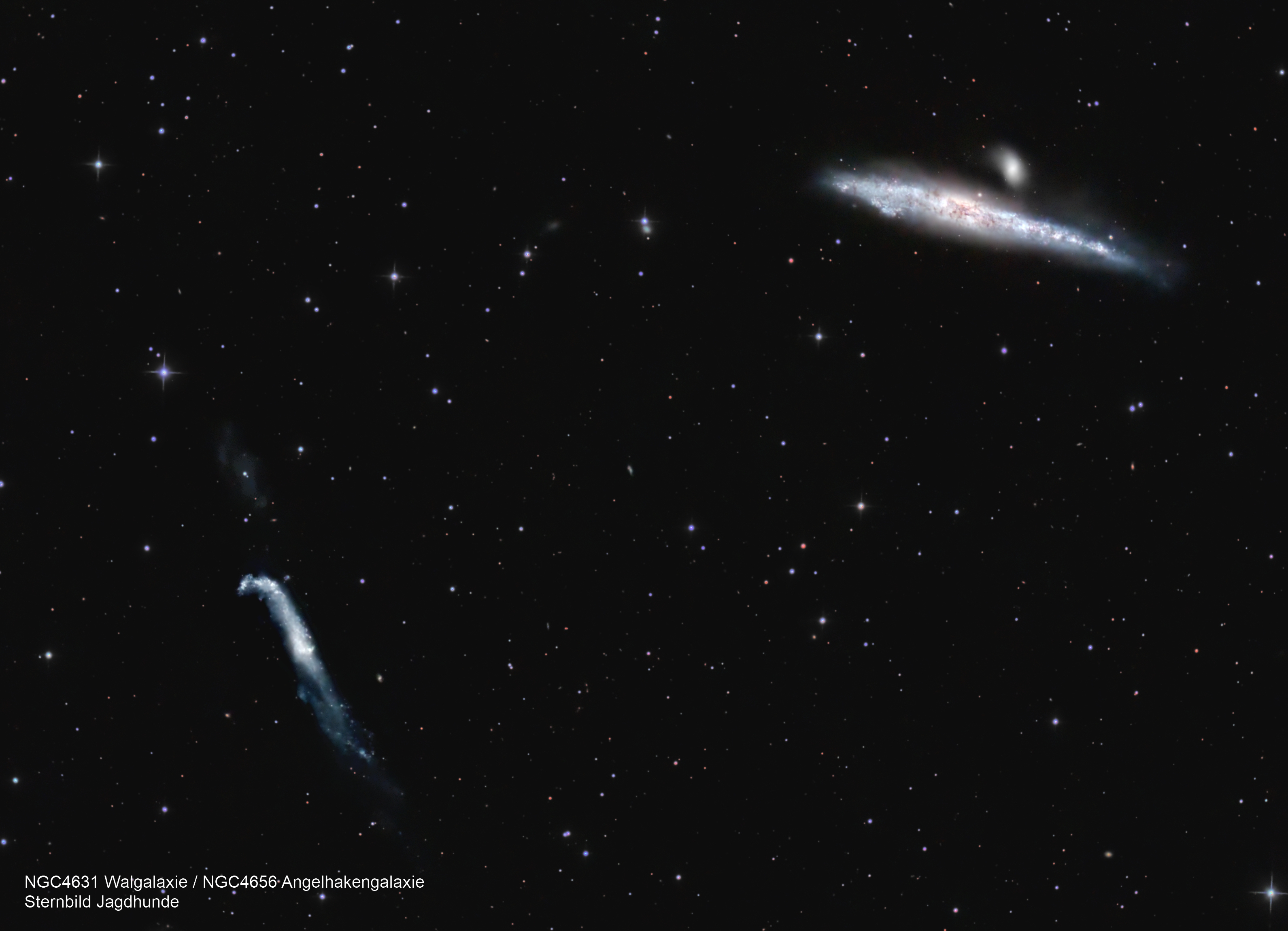 NGC4631 Walgalaxie / NGC4656 Anegelhakengalaxie